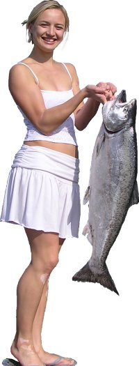 Click to enlarge Feeder Alaska King Salmon are feisty sluggers and will put up a fight that will surprise the seasoned angler.